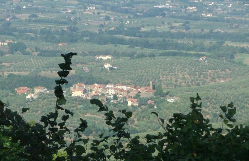 Podere Calistri Larciano Luaran gambar